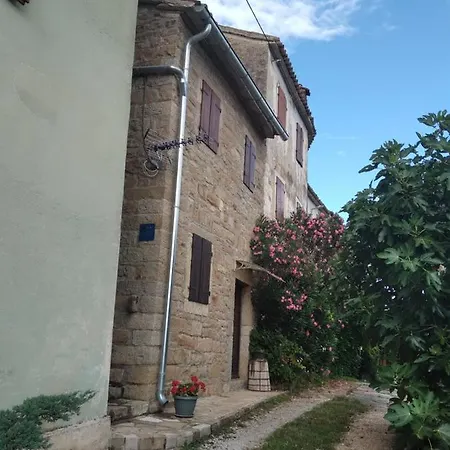 Staleta Tartuf *