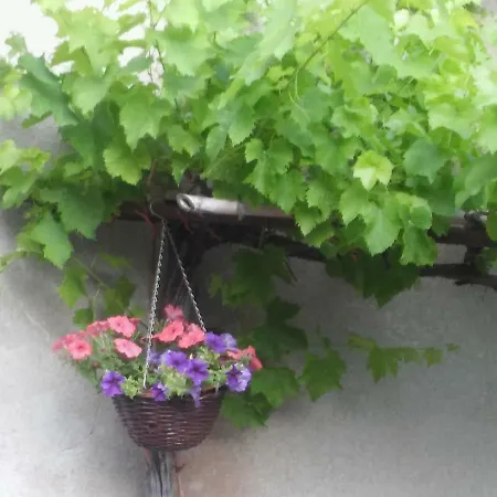 Apartment Staleta Tartuf *