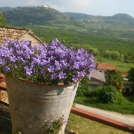 Apartment Staleta Tartuf Livade